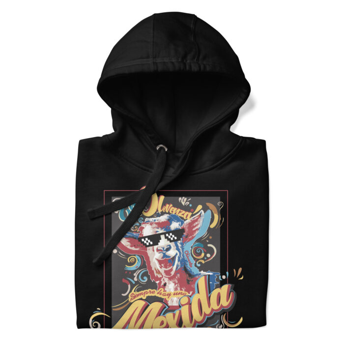 unisex-premium-hoodie-black-front-67ae3fa816967.jpg