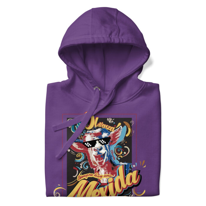 unisex-premium-hoodie-purple-front-67ae3fa81f244.jpg